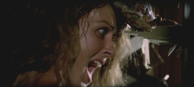 From http://whysoblu.com/lucio-fulcis-zombie-will-be-devoured-on-blu-ray-october-25th/ Doctor's wife being impaled through the eye with a sliver of wood